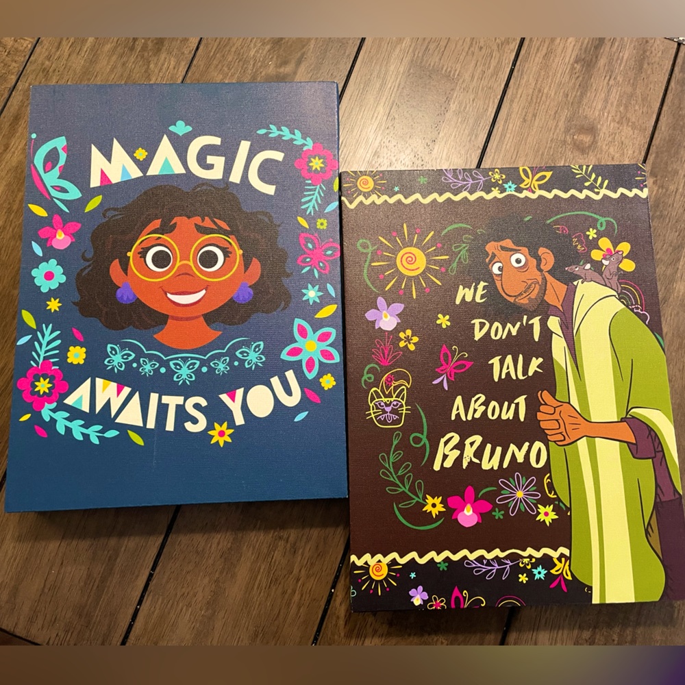 Encanto, Set of 2 Canvas Picture Frames, Mirabel & Bruno, 9.5x13 Inches, Disney